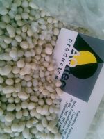 TR hule termoplastico